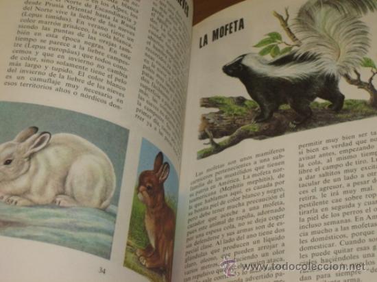 Libros de segunda mano: FAUNA - EDITORIAL FHER OFERTA - Foto 3