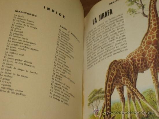 Libros de segunda mano: FAUNA - EDITORIAL FHER OFERTA - Foto 2