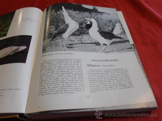 Libros de segunda mano: EL MUNDO DE LA NATURALEZA- LAS AVES - Foto 11