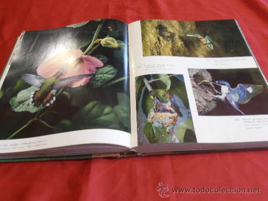 Libros de segunda mano: EL MUNDO DE LA NATURALEZA- LAS AVES - Foto 13