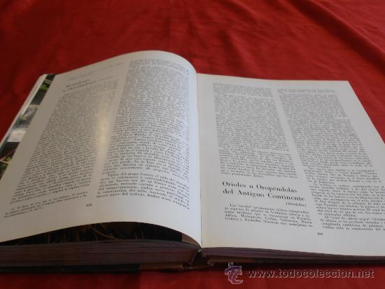 Libros de segunda mano: EL MUNDO DE LA NATURALEZA- LAS AVES - Foto 16