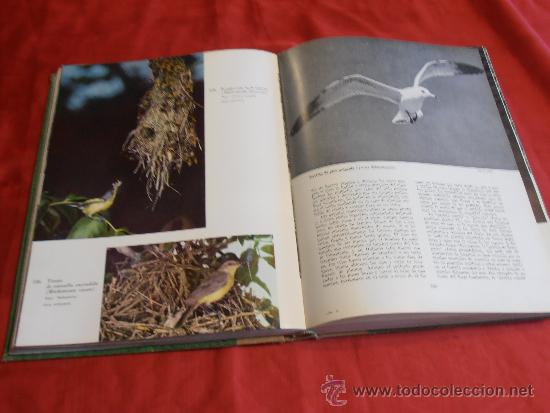 Libros de segunda mano: EL MUNDO DE LA NATURALEZA- LAS AVES - Foto 17