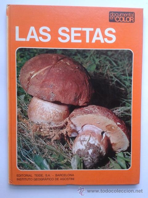 Libros de segunda mano: LAS SETAS - DOCUMENTAL EN COLOR - EDITORIAL TEIDE - INST. GEOGRAFICO DE AGOSTINI 1973 - Foto 1