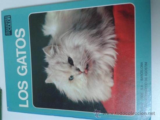 Libros de segunda mano: LOS GATOS. EDIT TEIDE. 1972 - Foto 1