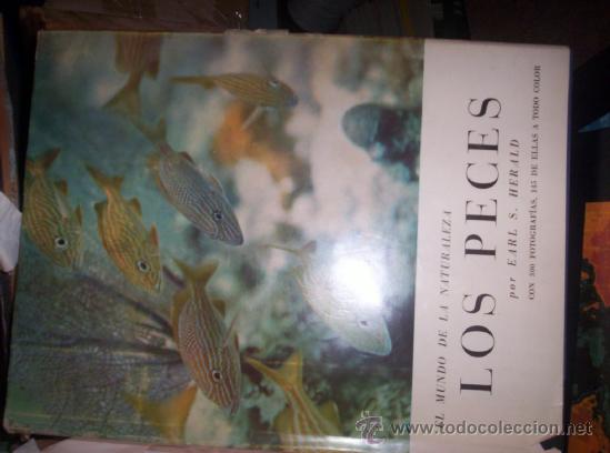 Libros de segunda mano: LOS PECES - Foto 1