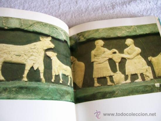 Libros de segunda mano: En el pa&iacute;s de UR, Hans bbaumann. Ed. Juventud. - Foto 3