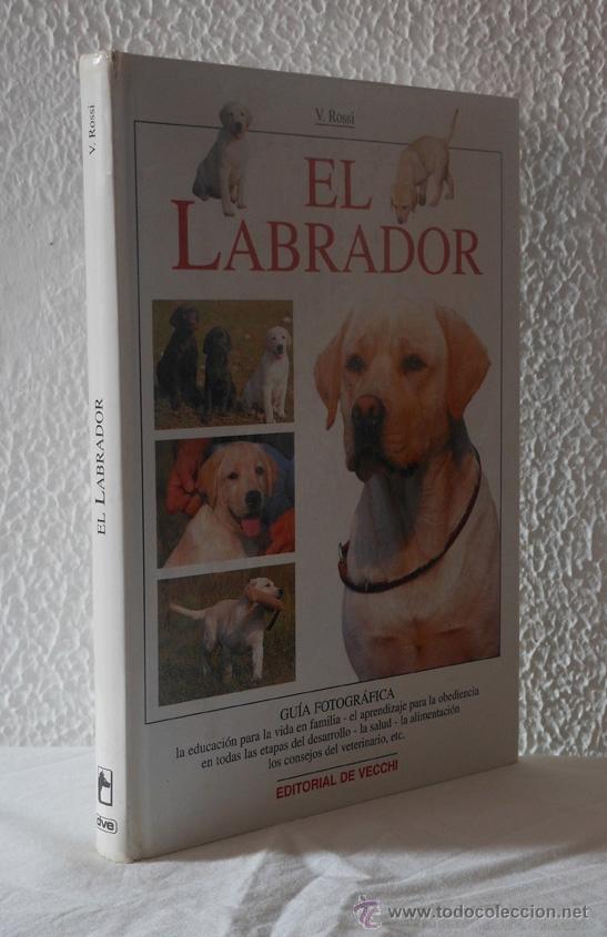 Libros de segunda mano: El Labrador - Valeria Rossi - Foto 1
