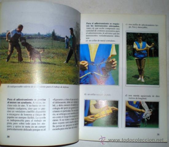 Libros de segunda mano: VALERIA ROSSI: PERROS DE RAZA - EL ADIESTRAMIENTO DEL PERRO. - Foto 2