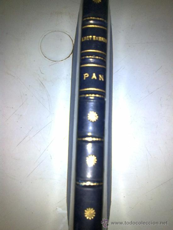 Libros de segunda mano: PAN. KNUT HAMSUN - Foto 1