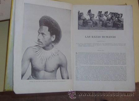 Libros de segunda mano: Las razas Humanas - Foto 1