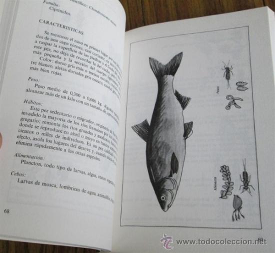 Libros de segunda mano: la pesca en 10 lecciones - Pierre Beaumel - Foto 4