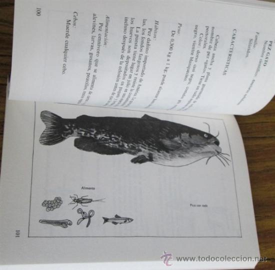 Libros de segunda mano: la pesca en 10 lecciones - Pierre Beaumel - Foto 6