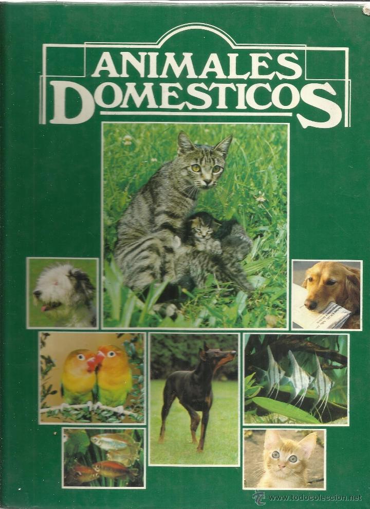 Libros de segunda mano: ANIMALES DOM&Eacute;STICOS. EDICIONES NAUTA. BARCELONA. 1983 - Foto 1