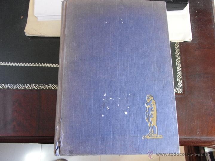 Libros de segunda mano: Tras las huellas de Ad&aacute;n. H. Wendt. - Foto 1