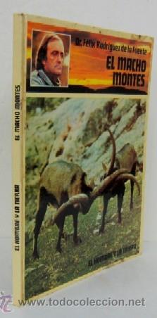 Libros de segunda mano: EL MACHO MONTES - Foto 1