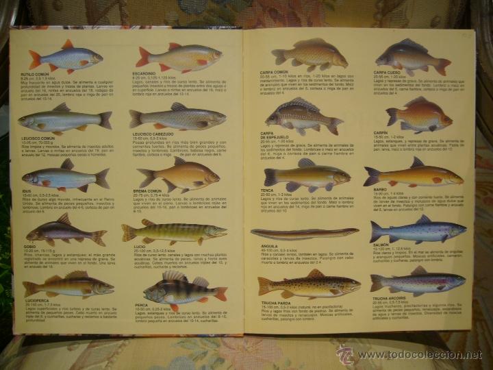 Libros de segunda mano: MIS AFICIONES: LA PESCA, DE TONY WHIELDON. - Foto 3