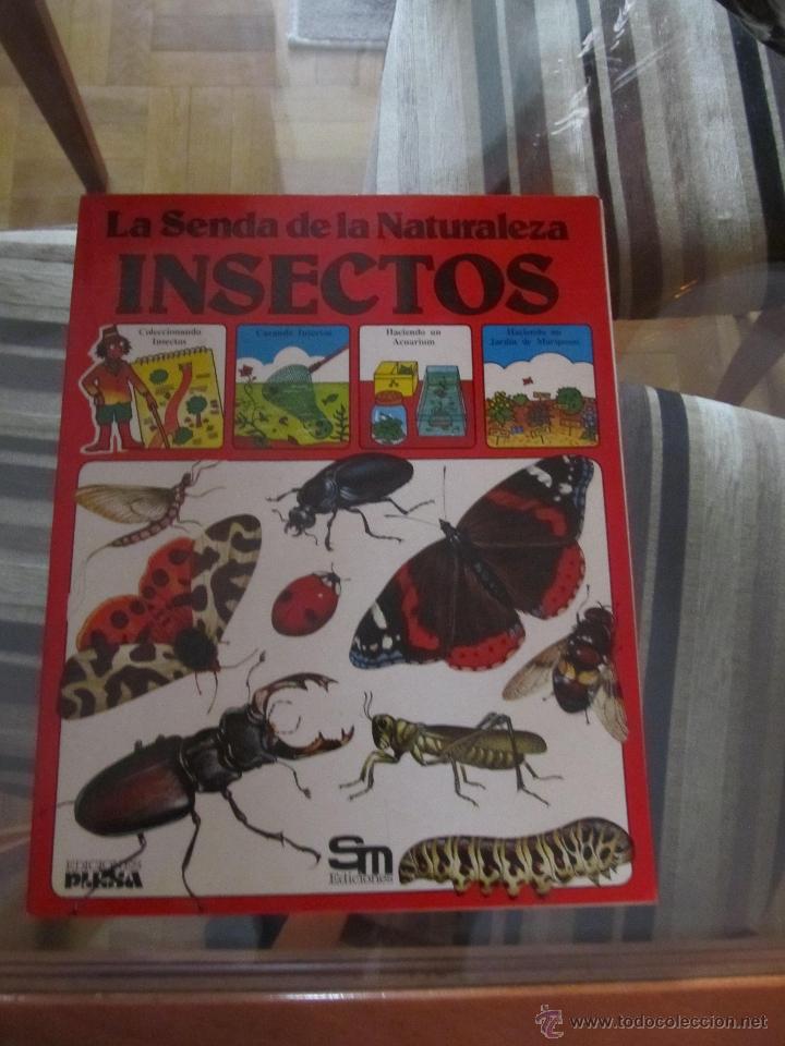 Libros de segunda mano: LIBRO PLESA SM LA SENDA DE LA NATURALEZA INSECTOS DIFICIL - Foto 3
