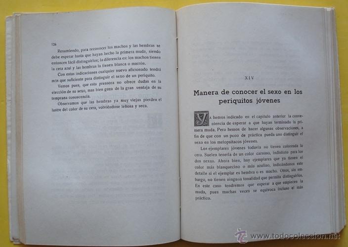 Libros de segunda mano: LIBRO EL PERIQUITO ANTONIO Y JUAN GARAU - Foto 8