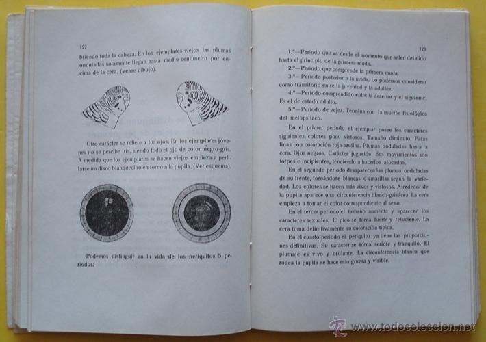 Libros de segunda mano: LIBRO EL PERIQUITO ANTONIO Y JUAN GARAU - Foto 11