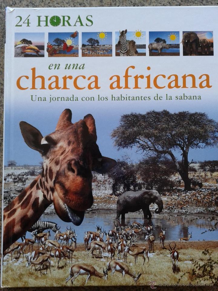 Libros de segunda mano: 24 HORAS EN UNA CHARCA AFRICANA -- CIRCULO DE LECTORES -- - Foto 1