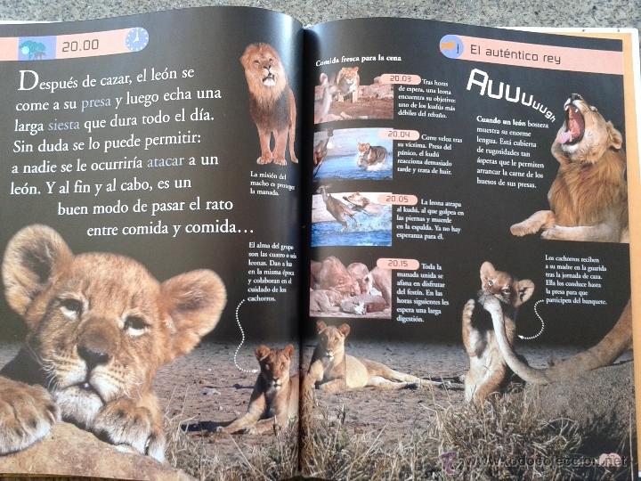 Libros de segunda mano: 24 HORAS EN UNA CHARCA AFRICANA -- CIRCULO DE LECTORES -- - Foto 2