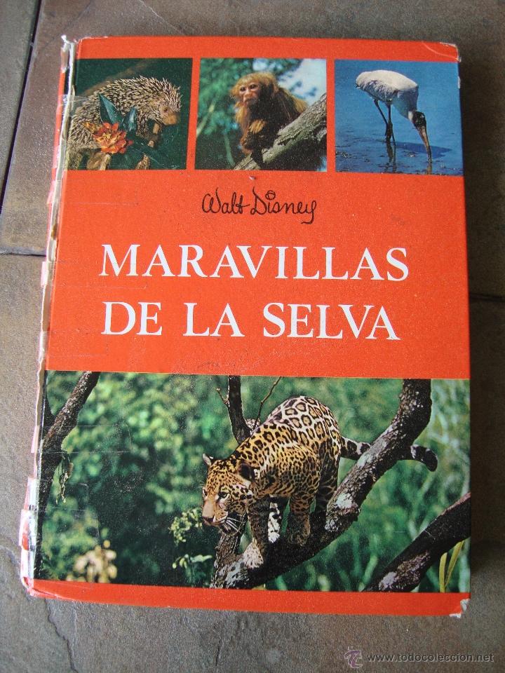 Libros de segunda mano: LIBRO MARAVILLAS DE LA SELVA WALT DISNEY 1966 - Foto 1