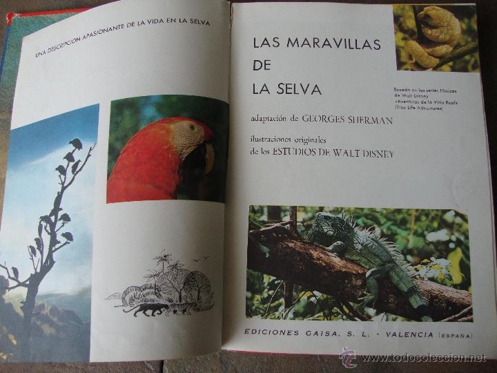 Libros de segunda mano: LIBRO MARAVILLAS DE LA SELVA WALT DISNEY 1966 - Foto 4