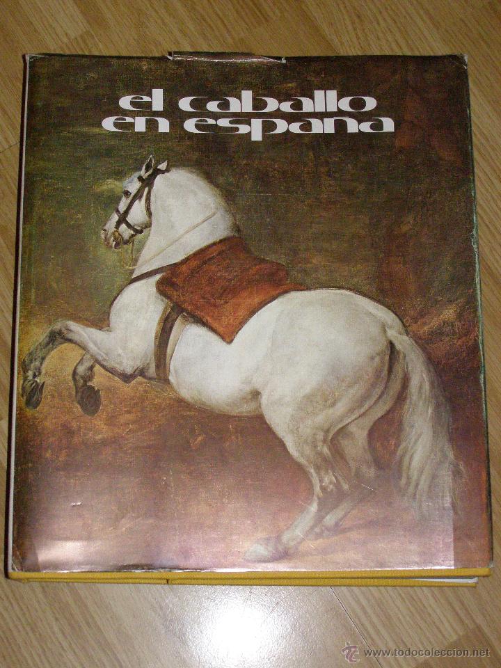 Libros de segunda mano: Bonito, raro y escaso - Gran Formato - El Caballo en Espa&ntilde;a - - Foto 1