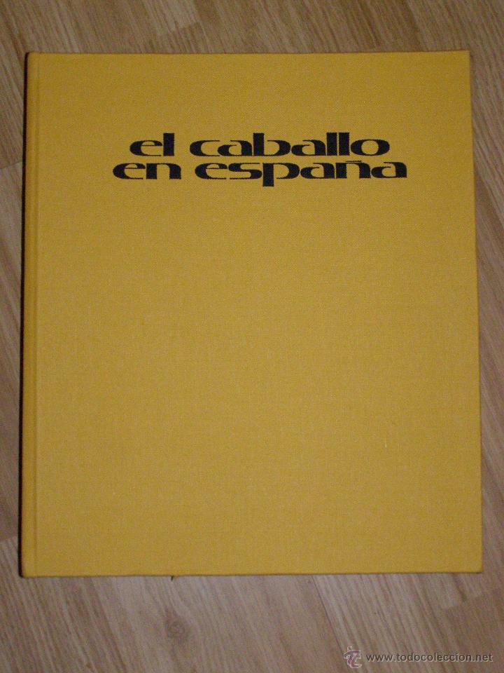 Libros de segunda mano: Bonito, raro y escaso - Gran Formato - El Caballo en Espa&ntilde;a - - Foto 2