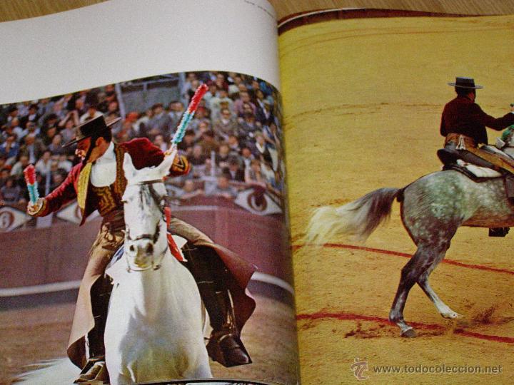 Libros de segunda mano: Bonito, raro y escaso - Gran Formato - El Caballo en Espa&ntilde;a - - Foto 5