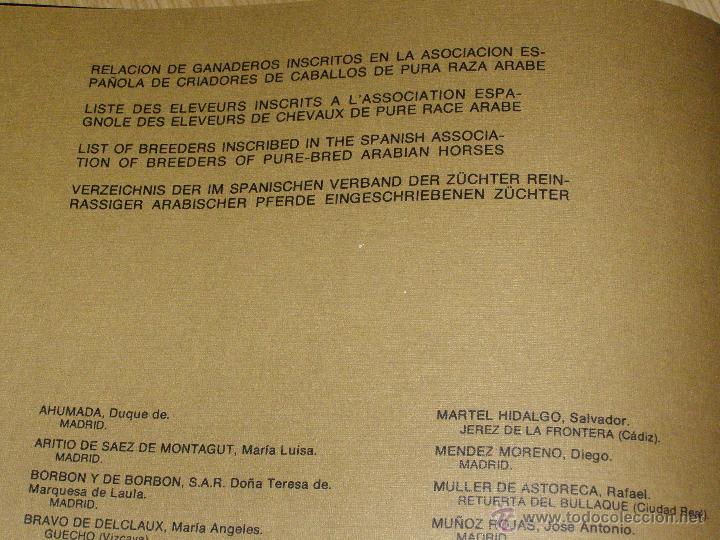 Libros de segunda mano: Bonito, raro y escaso - Gran Formato - El Caballo en Espa&ntilde;a - - Foto 6