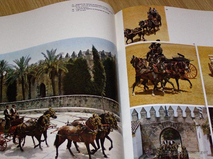 Libros de segunda mano: Bonito, raro y escaso - Gran Formato - El Caballo en Espa&ntilde;a - - Foto 7