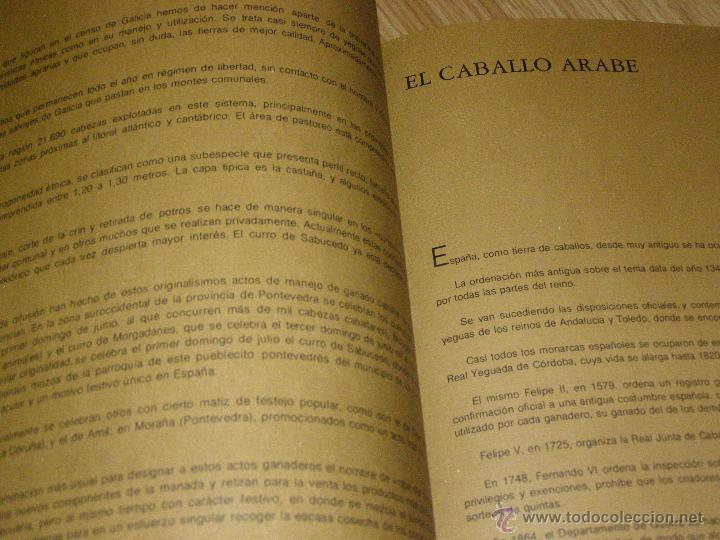 Libros de segunda mano: Bonito, raro y escaso - Gran Formato - El Caballo en Espa&ntilde;a - - Foto 8