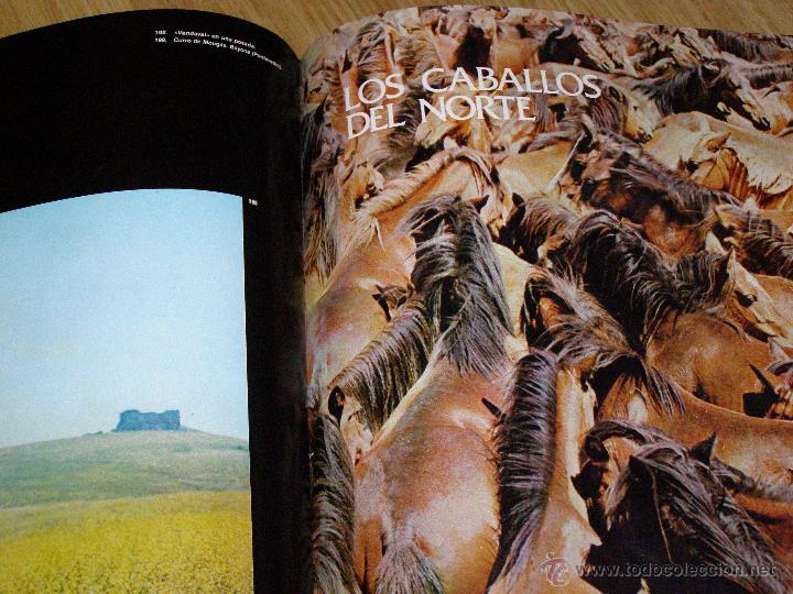 Libros de segunda mano: Bonito, raro y escaso - Gran Formato - El Caballo en Espa&ntilde;a - - Foto 9