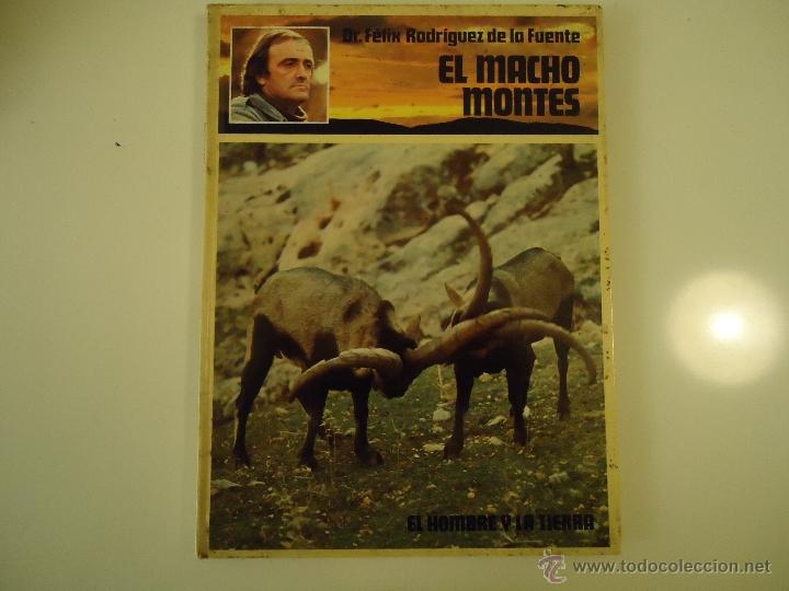 Libros de segunda mano: El Macho Montes - Foto 1