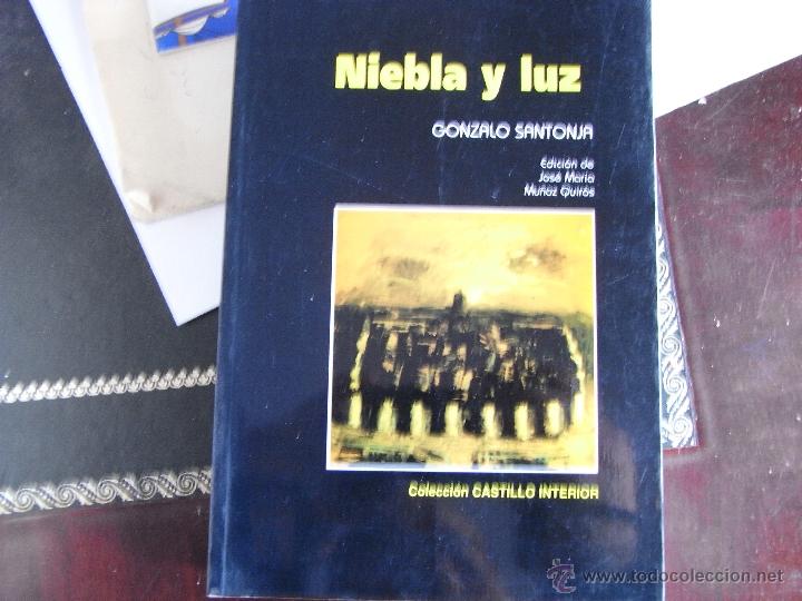 Libros de segunda mano: Niebla y luz. Gonzalo Santonja. - Foto 1