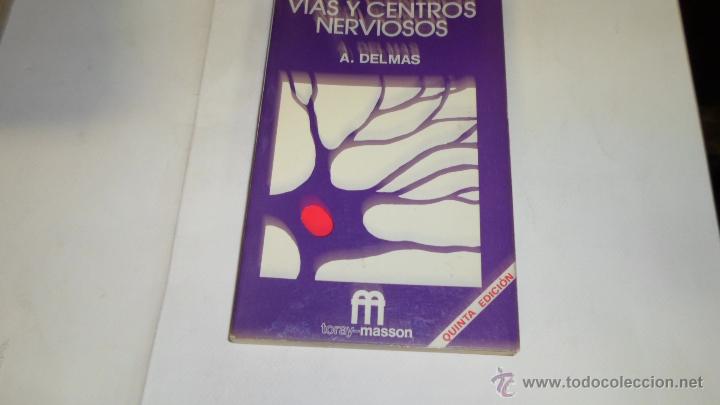 Libros de segunda mano: A.Delmas, Vias y centros nerviosos, Ed. Toray - Foto 1