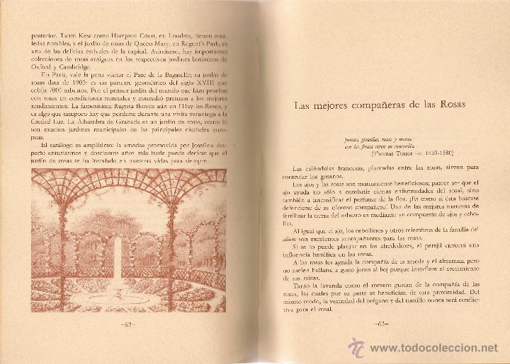 Libros de segunda mano: El libro de las rosas / Rosamond Richardson - Foto 3
