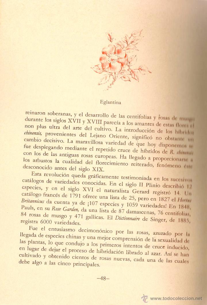 Libros de segunda mano: El libro de las rosas / Rosamond Richardson - Foto 4