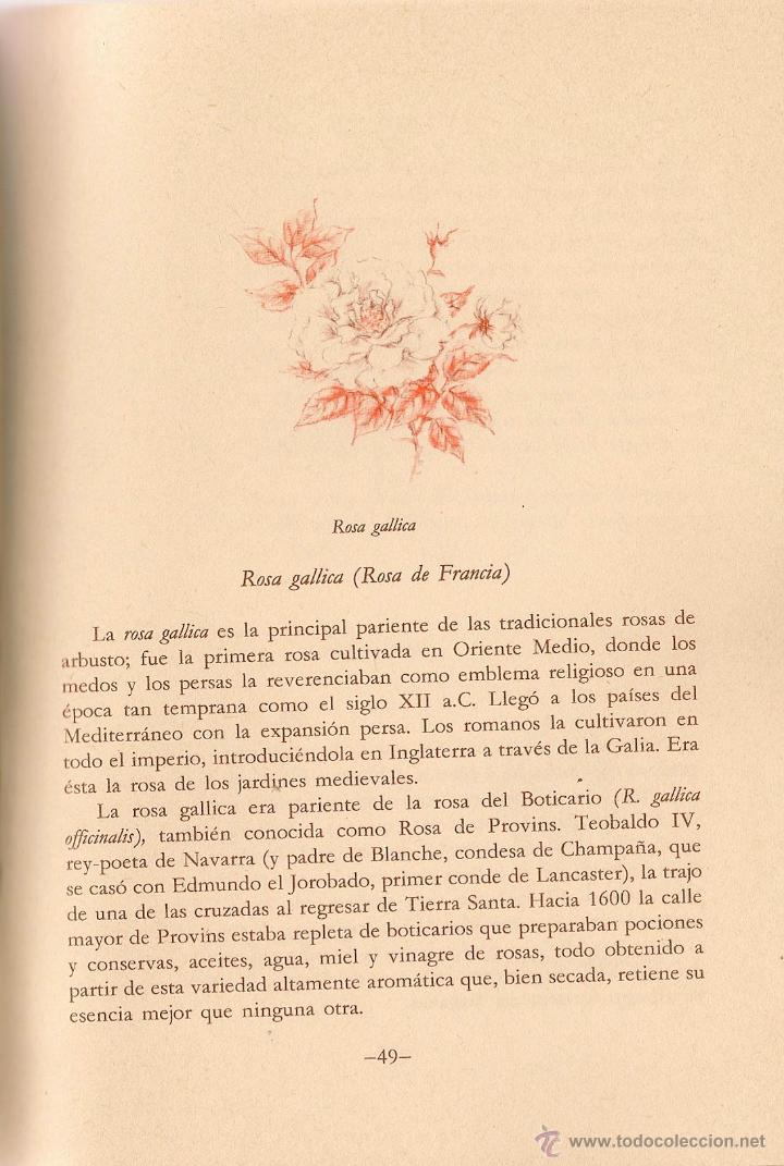 Libros de segunda mano: El libro de las rosas / Rosamond Richardson - Foto 5
