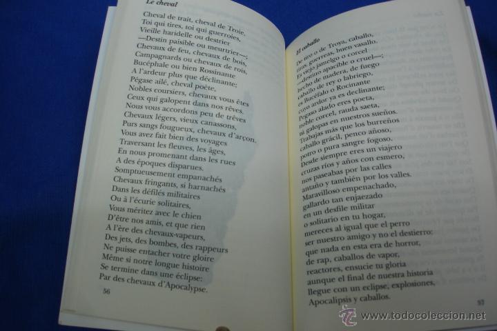 Libros de segunda mano: MONADAS - LUCE MOREAU ARRABAL - DIBUJOS DE JAIME ASENSI - LIBROS DEL INNOMBRABLE 2009 - Foto 3