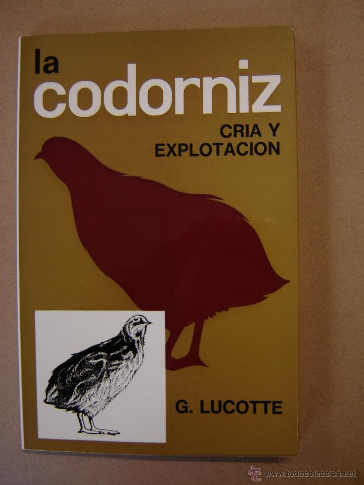 Libros de segunda mano: La Codorniz - Cr&iacute;a y explotaci&oacute;n - G. Lucotte - Foto 1