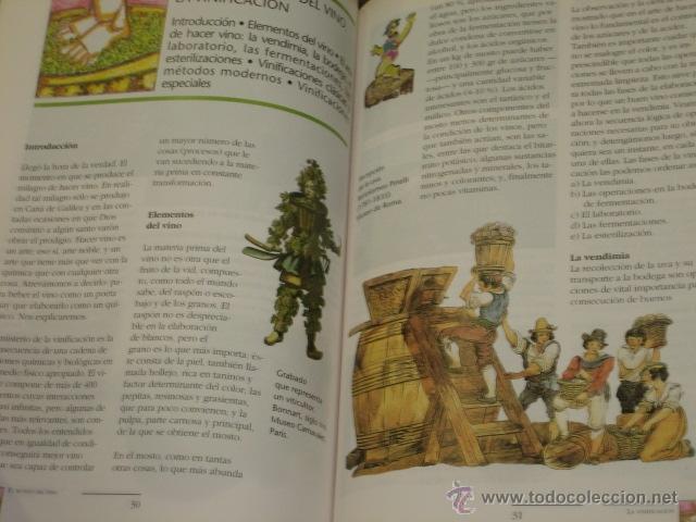 Libros de segunda mano: MANUAL DE LOS VINOS DE ESPA&Ntilde;A - EVEREST - Foto 2