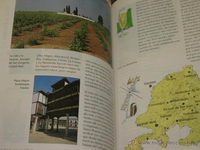 Libros de segunda mano: MANUAL DE LOS VINOS DE ESPA&Ntilde;A - EVEREST - Foto 4