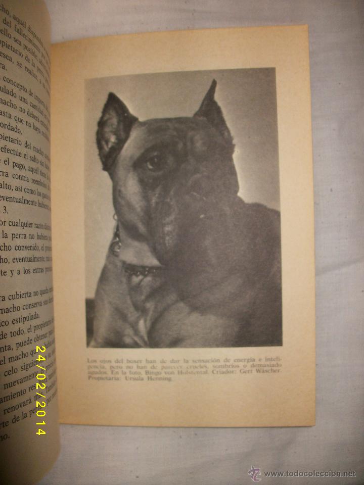 Libros de segunda mano: EL BOXER - Foto 2