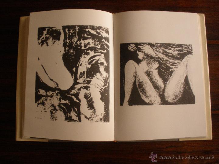 Libros de segunda mano: Corzas --- Ignacio Villarreal - Foto 3
