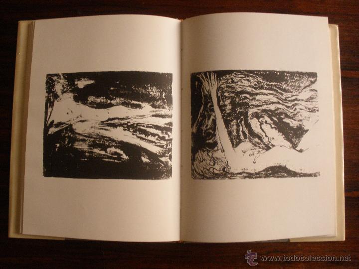 Libros de segunda mano: Corzas --- Ignacio Villarreal - Foto 5