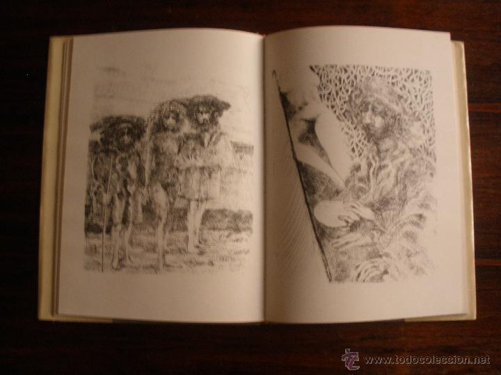 Libros de segunda mano: Corzas --- Ignacio Villarreal - Foto 7