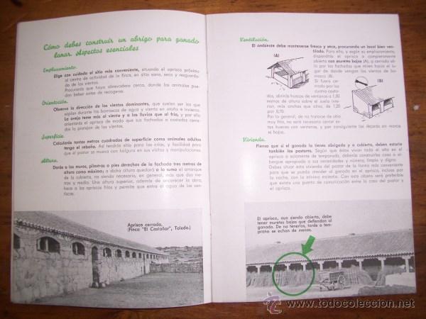 Libros de segunda mano: L&Oacute;PEZ DE LA FUENTE, Justo. [Construcci&oacute;n de apriscos] - Foto 2
