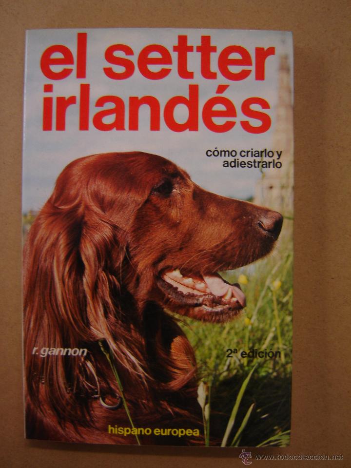 Libros de segunda mano: El setter irland&eacute;s - R. Gannon - Foto 1